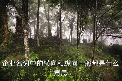 什么是企業(yè)橫向發(fā)展，什么是橫向一體化