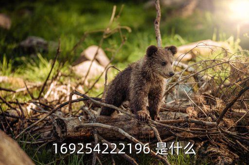 什么是服務(wù)商停用，為什么發(fā)郵件給自己的郵箱會(huì)出現(xiàn)收件人郵件地址被所在服務(wù)商暫時(shí)停