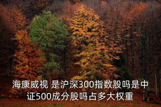 海康威視屬于什么板塊，?？低晫儆诎遵R股嗎