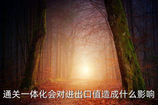 通關(guān)一體化會對進出口值造成什么影響