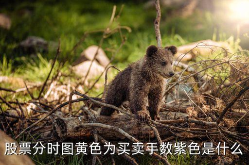 股票分時圖黃色為買賣手數(shù)紫色是什么