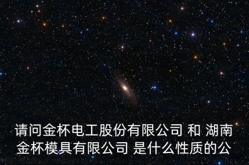 請問金杯電工股份有限公司 和 湖南金杯模具有限公司 是什么性質的公