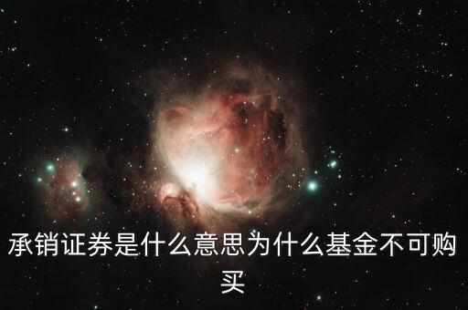 承銷證券是什么意思為什么基金不可購(gòu)買
