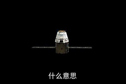 什么意思