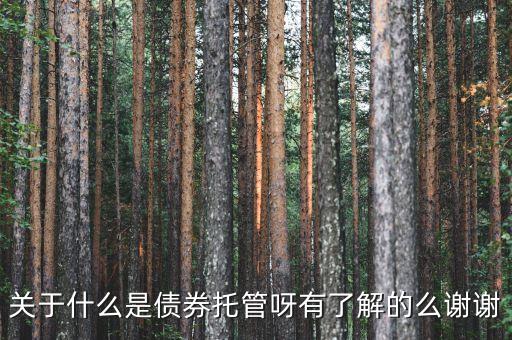 關(guān)于什么是債券托管呀有了解的么謝謝