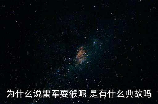 為什么說雷軍耍猴呢 是有什么典故嗎