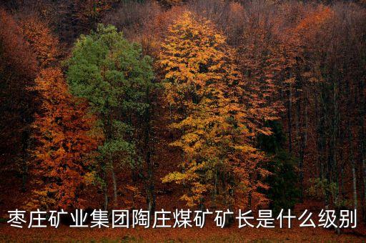 棗莊礦業(yè)集團(tuán)陶莊煤礦礦長(zhǎng)是什么級(jí)別