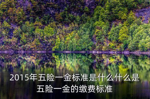 2015年五險一金標準是什么什么是五險一金的繳費標準