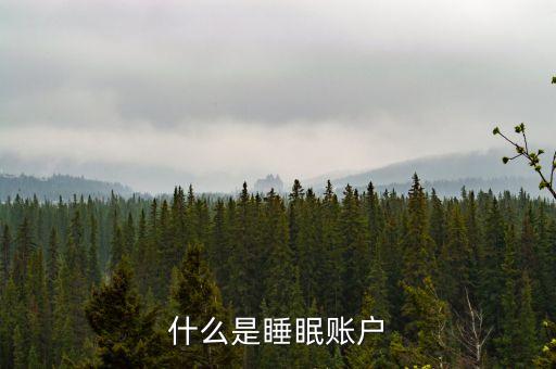賬戶休眠是什么意思，辦理稅務申報說帳號休眠是什么意思