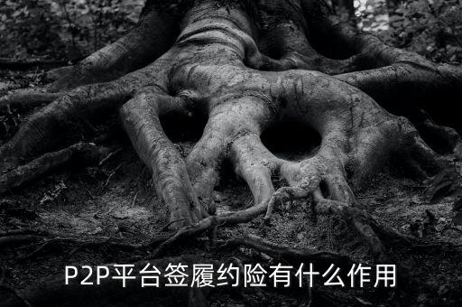 P2P平臺簽履約險有什么作用
