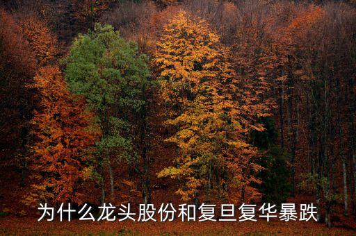 為什么龍頭股份和復旦復華暴跌