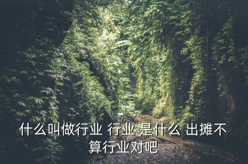 什么叫做行業(yè) 行業(yè) 是什么 出攤不算行業(yè)對吧