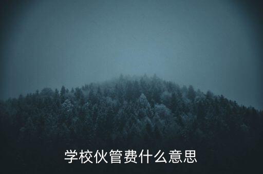 證管費是什么意思，學?；锕苜M什么意思
