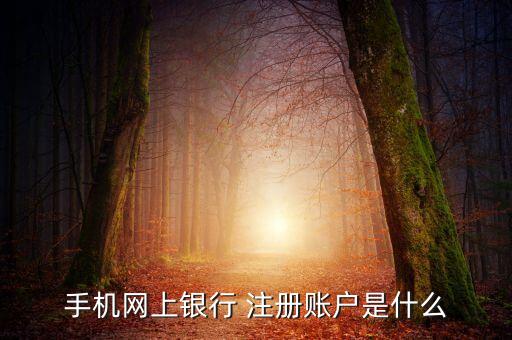 手機銀行e賬戶是什么，建行e賬戶起什么作用