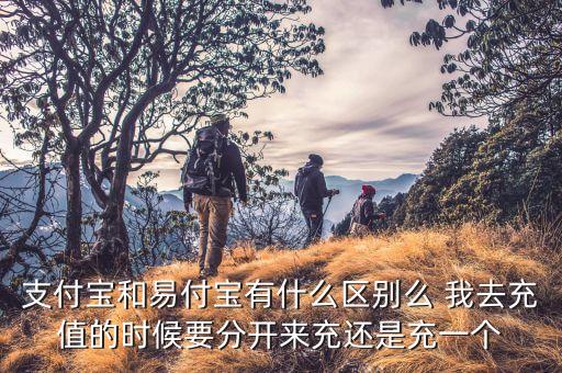 易付寶跟支付寶什么區(qū)別，易付寶和支付寶有什么不一樣