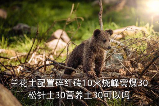 蘭花土配置碎紅磚10火燒峰窩煤30松針土30營(yíng)養(yǎng)土30可以嗎