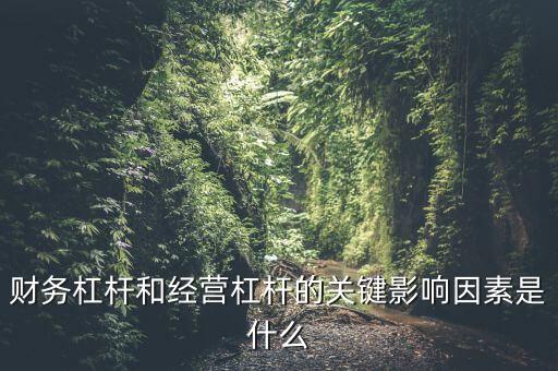 經營杠桿形成的原因是什么，財務杠桿和經營杠桿的關鍵影響因素是什么