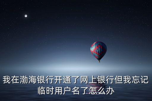 我在渤海銀行開通了網(wǎng)上銀行但我忘記臨時(shí)用戶名了怎么辦
