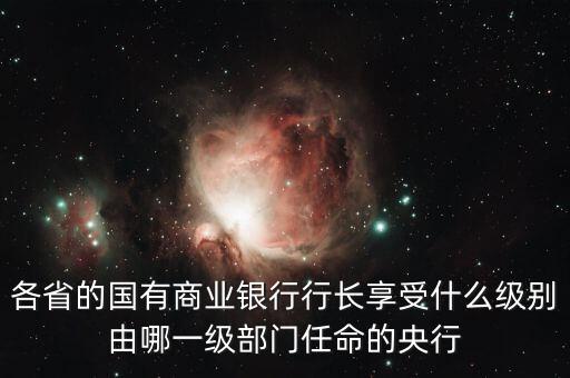 中國(guó)商業(yè)銀行總裁什么級(jí)別，中國(guó)銀行總裁是