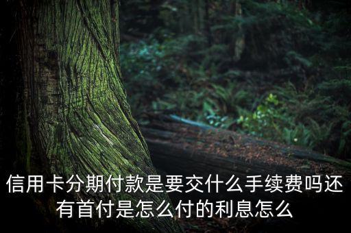 信用卡分期付款是要交什么手續(xù)費嗎還有首付是怎么付的利息怎么