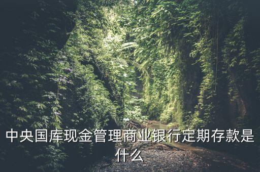 中央國(guó)庫(kù)現(xiàn)金管理商業(yè)銀行定期存款是什么