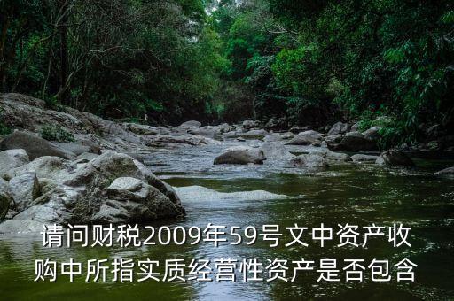 什么是實質經營性資產，經營性投資額指的是什么