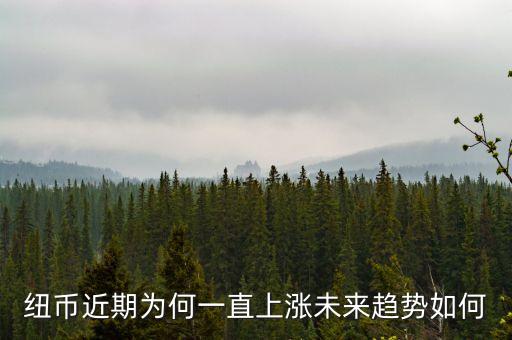 紐幣近期為何一直上漲未來趨勢如何