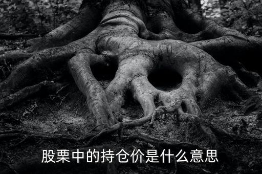 持倉價(jià)什么意思，持倉價(jià)是什么意思