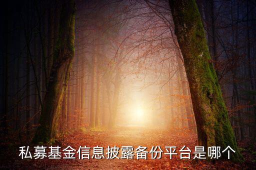 私募基金信息披露備份平臺(tái)是哪個(gè)