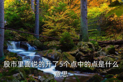 股市里面說的升了5個(gè)點(diǎn)中的點(diǎn)是什么意思