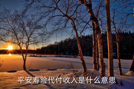 平安壽險(xiǎn)代付收入是什么意思