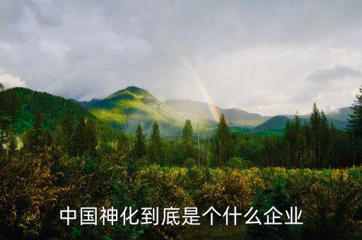 中國神化到底是個什么企業(yè)