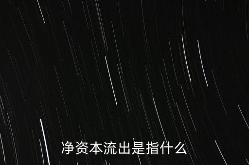 凈資本流出是指什么