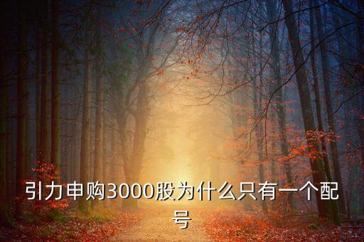 引力申購(gòu)3000股為什么只有一個(gè)配號(hào)