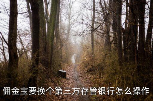 傭金寶支持什么銀行，傭金寶要換個第三方存管銀行怎么操作
