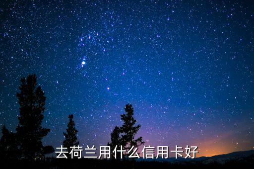 中國荷蘭兩地走要開張什么銀行卡，去歐洲旅游辦張那種的銀行卡方便呢