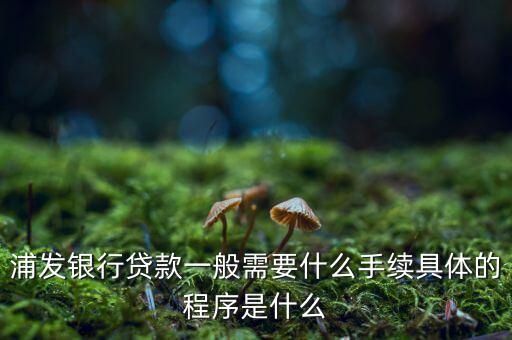 浦發(fā)銀行網(wǎng)貸通要什么條件，TB支持浦發(fā)  浦發(fā)開(kāi)通網(wǎng)銀要什么條件比如要帶點(diǎn)什么的