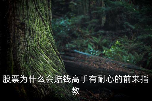 股票為什么會賠錢高手有耐心的前來指教