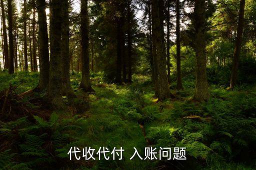 什么叫代付入賬，代收代付 入賬問題