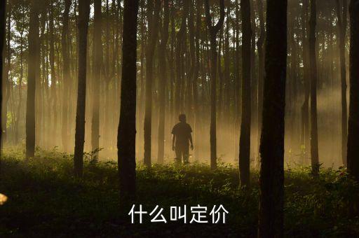 定價(jià)是什么，按百分之50的利潤(rùn)定價(jià)是什么意思