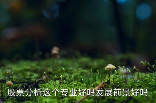 股票分析專業(yè)是什么，股票分析這個專業(yè)好嗎發(fā)展前景好嗎