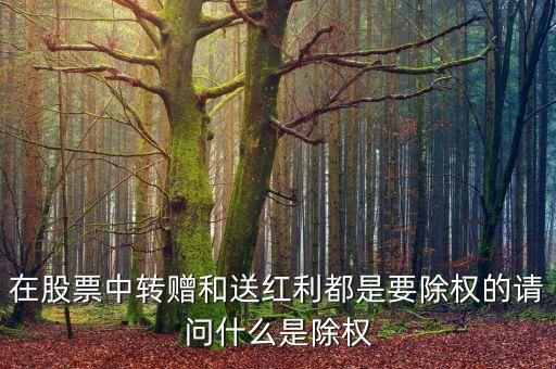 在股票中轉(zhuǎn)贈(zèng)和送紅利都是要除權(quán)的請(qǐng)問(wèn)什么是除權(quán)