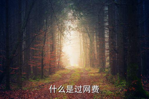 什么叫過(guò)網(wǎng)費(fèi)，手機(jī)上網(wǎng)費(fèi)是什么