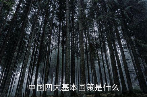四大國家戰(zhàn)略是什么，中國四大基本國策是什么