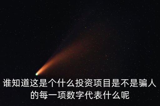 誰(shuí)知道這是個(gè)什么投資項(xiàng)目是不是騙人的每一項(xiàng)數(shù)字代表什么呢