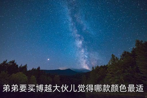 博瑞買什么金色好看嗎，弟弟要買博越大伙兒覺(jué)得哪款顏色最適