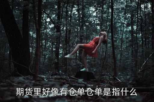 倉(cāng)單上面包括什么內(nèi)容，倉(cāng)單是什么