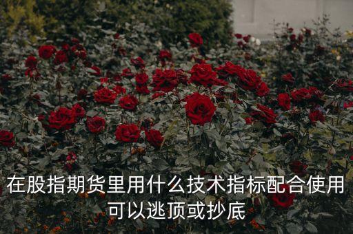 股指期貨什么指標(biāo)好用，做股指期貨那個指標(biāo)最好