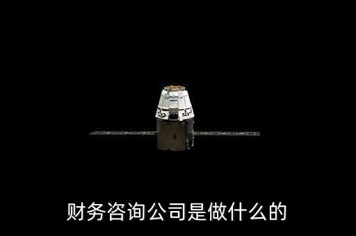 財(cái)務(wù)咨詢(xún)公司是做什么的