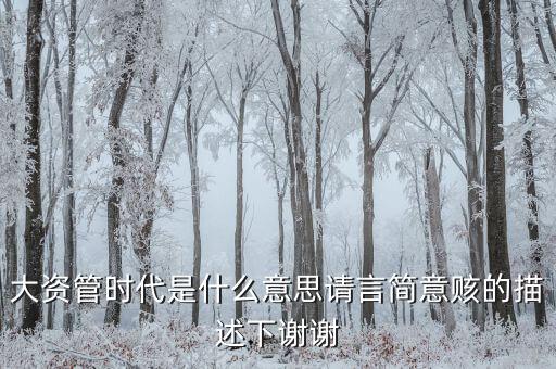 什么是泛資產(chǎn)管理時代，大資管時代是什么意思請言簡意賅的描述下謝謝